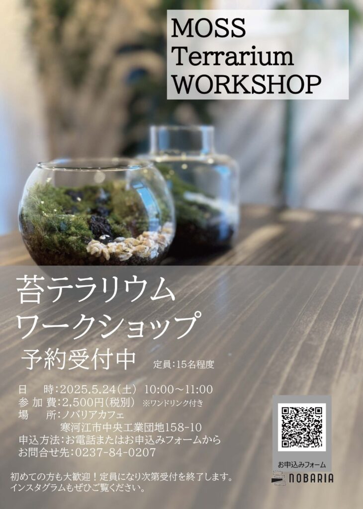 苔テラリウムちらし
